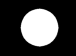 tam